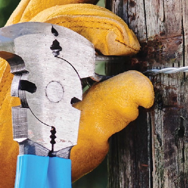 HAMMER AND STARTER FOR FAST, SECURE STAPLE INSTALLS